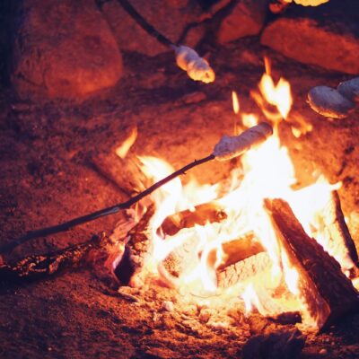 barbecue on bonfire